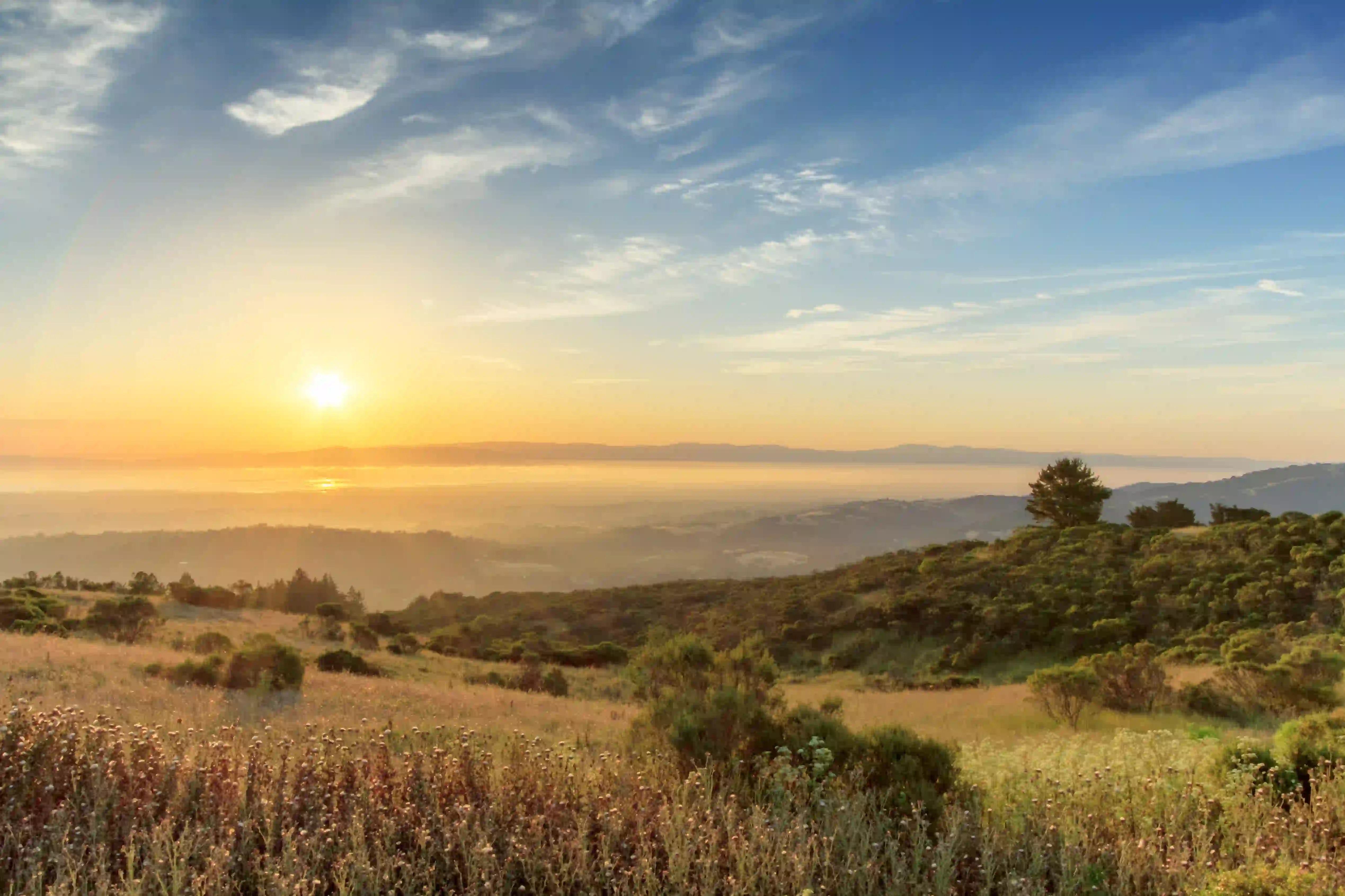 Weather portola valley ca